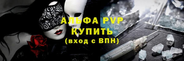 PSILOCYBIN Богданович