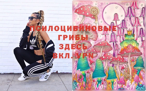 2c-b Покачи