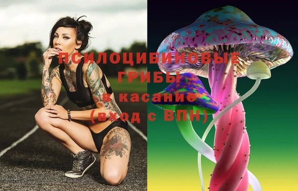 эйфоретик Пестово