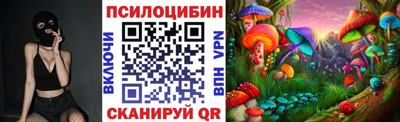 Псилоцибиновые грибы GOLDEN TEACHER  купить   ссылка на мегу ССЫЛКА  Райчихинск 